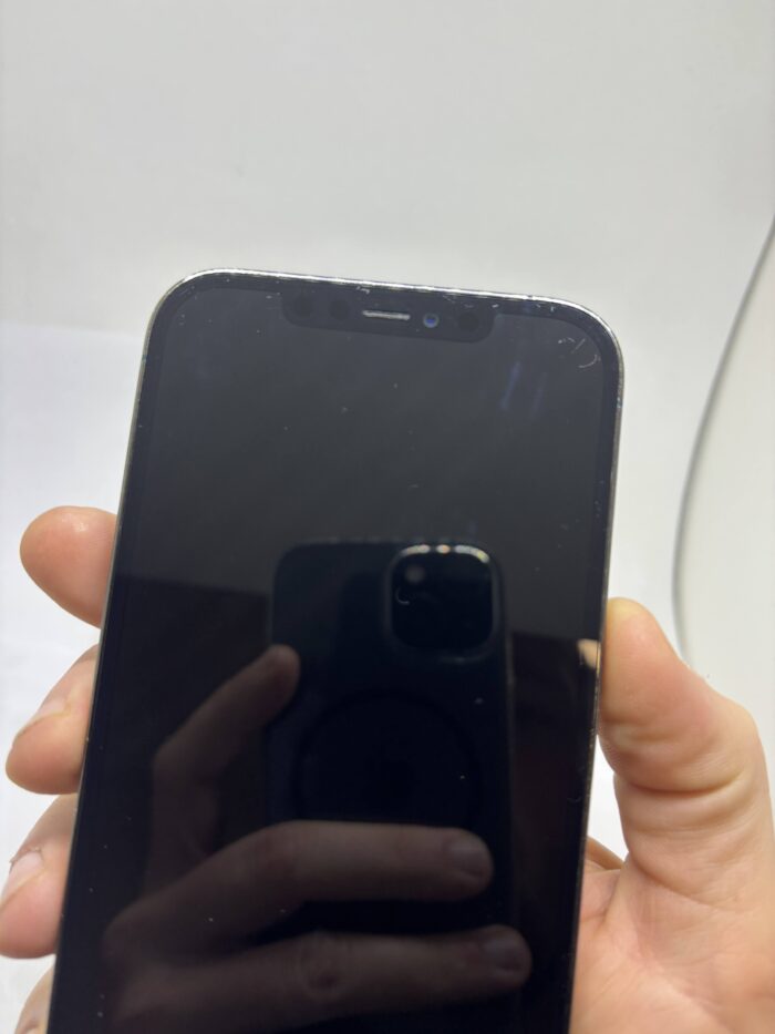 Apple iPhone 12 Pro Max 128GB Pacific Blue - Obrázek 7